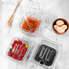 Polycarbonate Gastronorm Storage Pans for Cherry Tomatoes Raspberry Grape Clear Sets